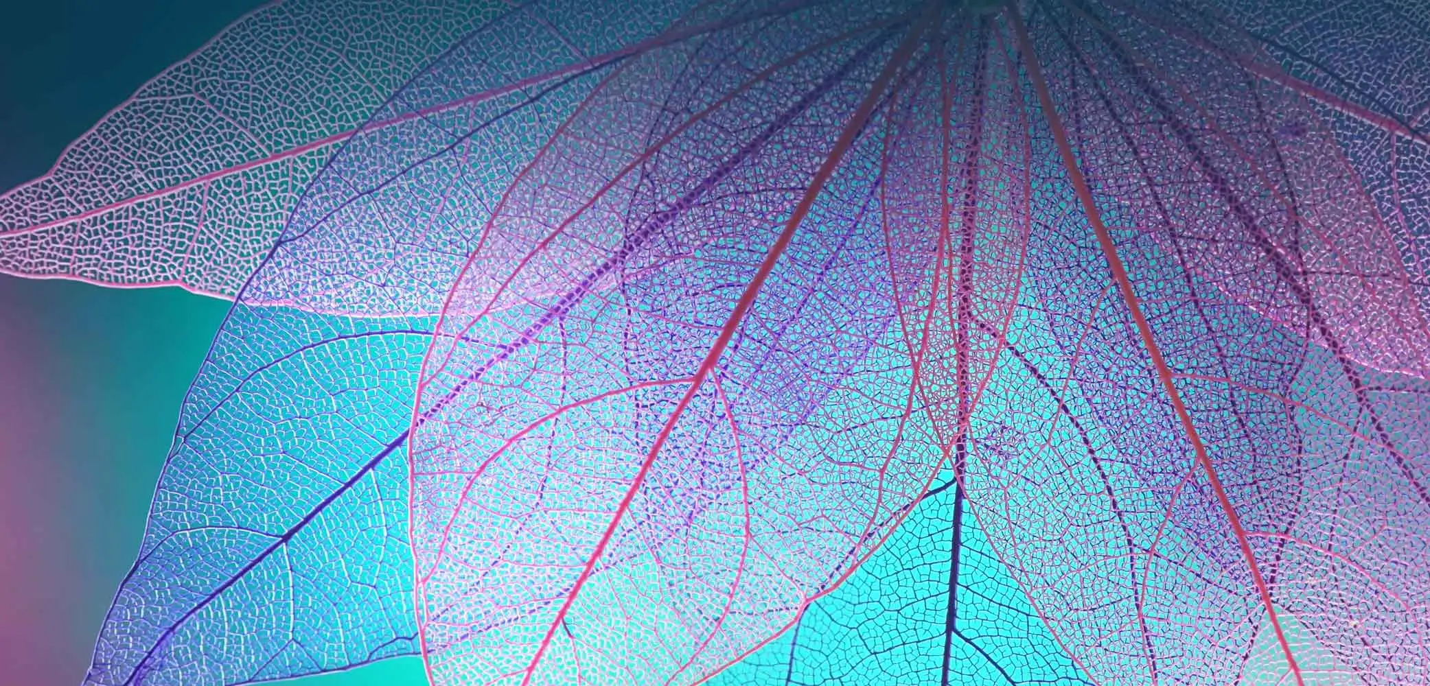 Contact background